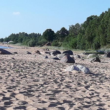Viesu Nams Juras Bura Hotell Tūja Exteriör bild